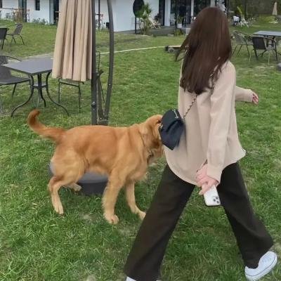 铁手人